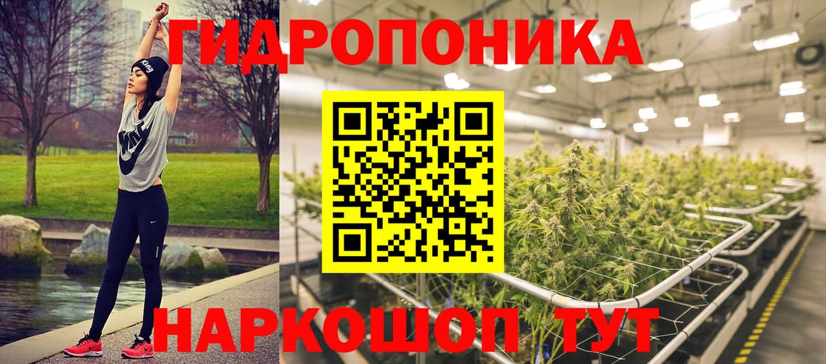Бошки марихуана ГИДРОПОН  Бошки Шишки тримм  Выкса  Марихуана планчик  Вход с VPN 